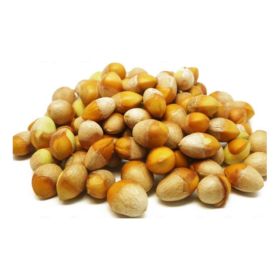 천지가약초  생은행열매 1kg