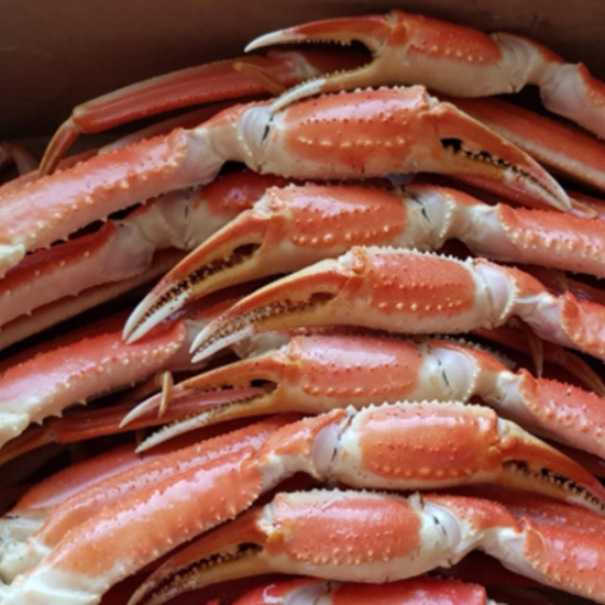 아진수산  스노우크랩 L 5kg