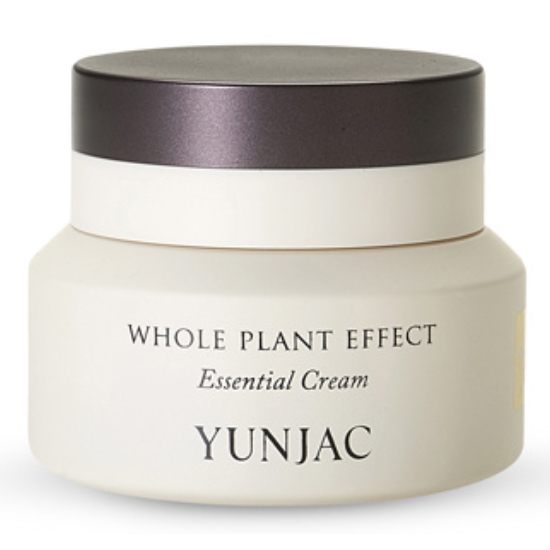 연작 전초 에센셜 크림 50ml