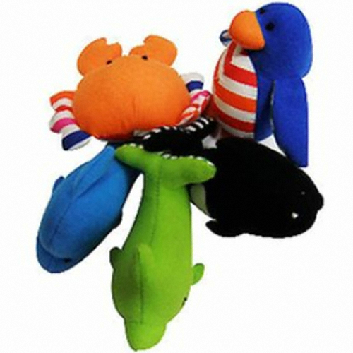 펫모닝 바다토이