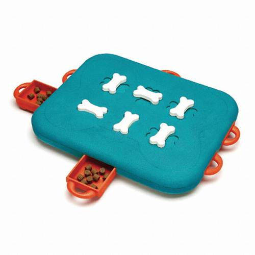 니나오토슨 도그 카지노 Level-3