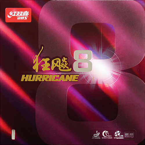 DHS  허리케인8