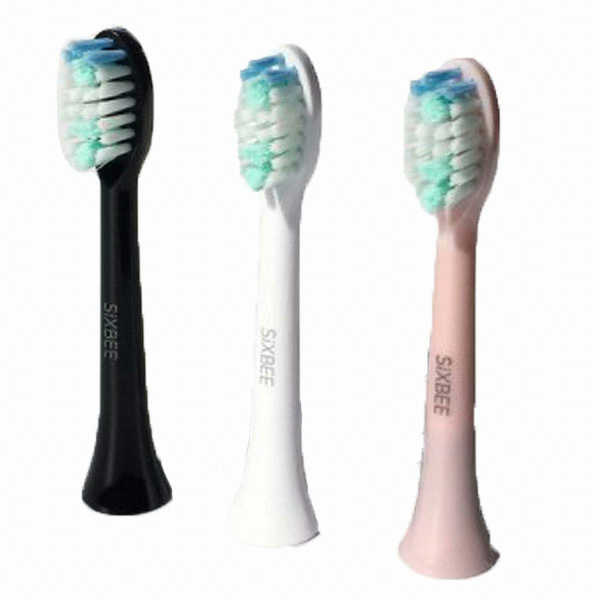 다농 산마늘씨앗 0.5g - 에누리 가격비교