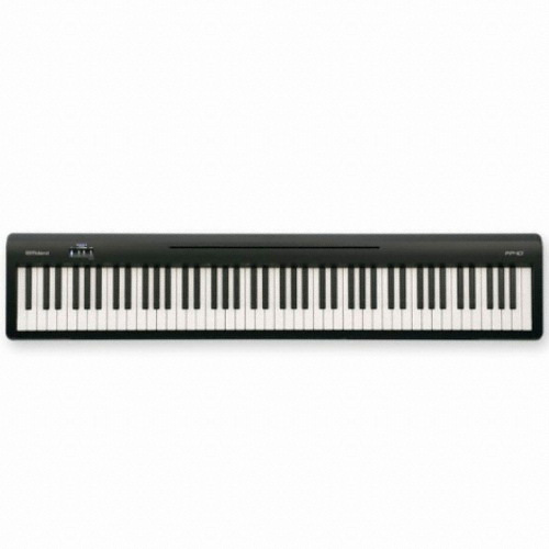 롤랜드  FP-10