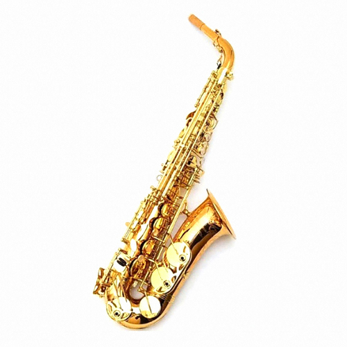 야나기사와  T-WO20