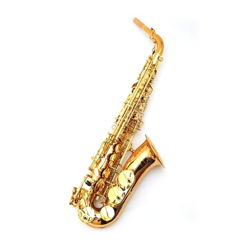 야나기사와  A-WO20