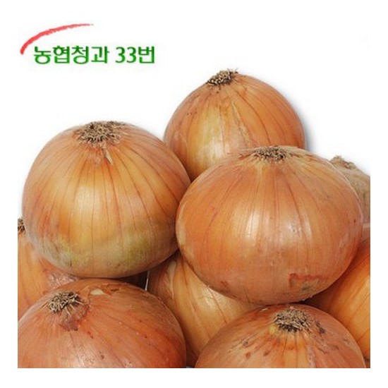 농협청과33번 양파 10kg 중