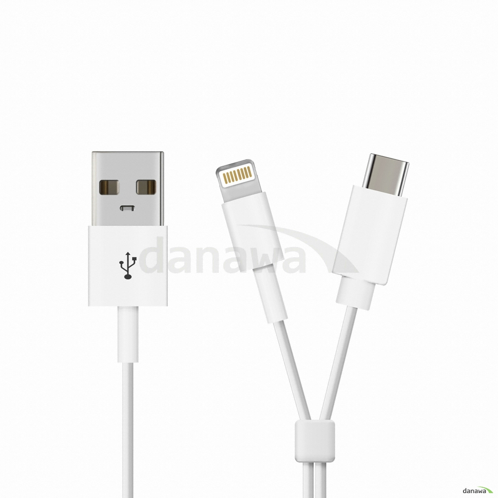 릿츠  2 in 1 C타입+8핀 듀얼 USB 충전케이블 (DL-909L)