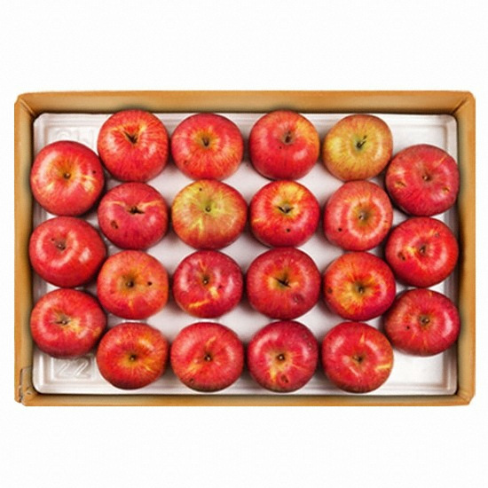 한우리영농조합 장길영사과 알뜰사과 33~46과(개) 중소과 10kg