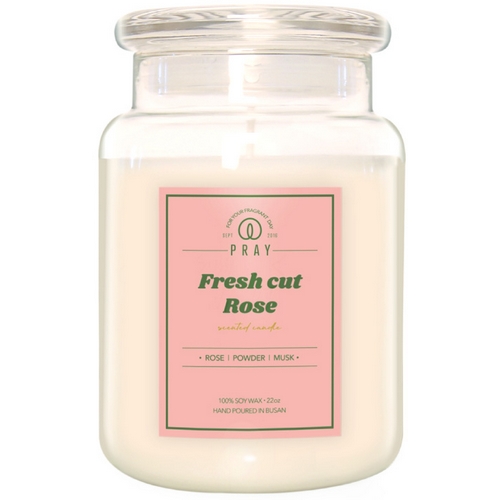 프레이 천연 소이캔들 라지자 1 대용량 623g