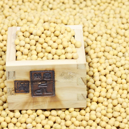 유신상사  제주산 햇콩 콩나물콩 1kg