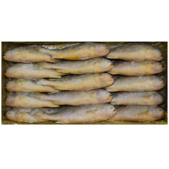 해물총각  부세조기 15마리 3.4kg