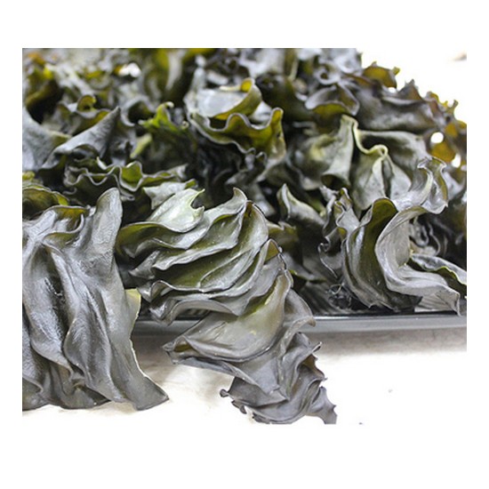 바다속풍경  완도 햇미역귀/미역귀