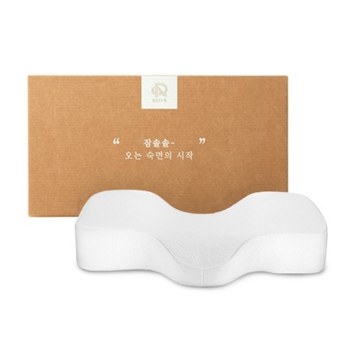 리빙제이 항균 텐셀 잠솔솔 경추베개