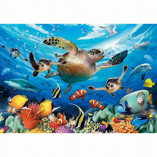 1000피스 직소퍼즐 바다거북의 여행 2