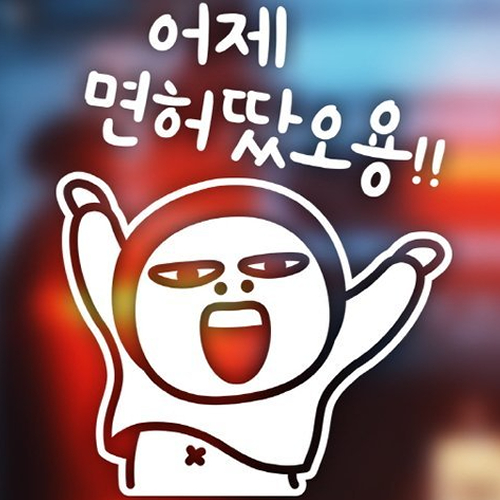 아도라하우스  자동차 포인트 스티커 어제 면허땄어용