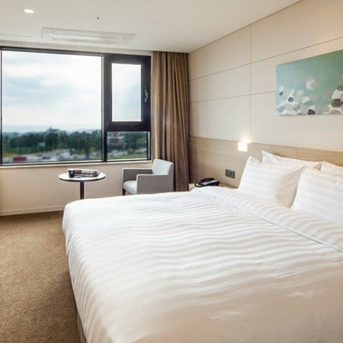 제주 호텔 더본 객실