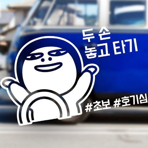 아도라하우스  자동차 포인트 스티커 호기심 만땅