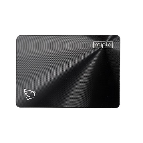 디오테라 ROIPLE DOVE SSD