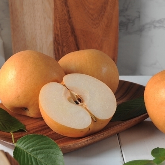 나주로농산 자연진리 나주배 가정용 흠집배 10~11과 5kg