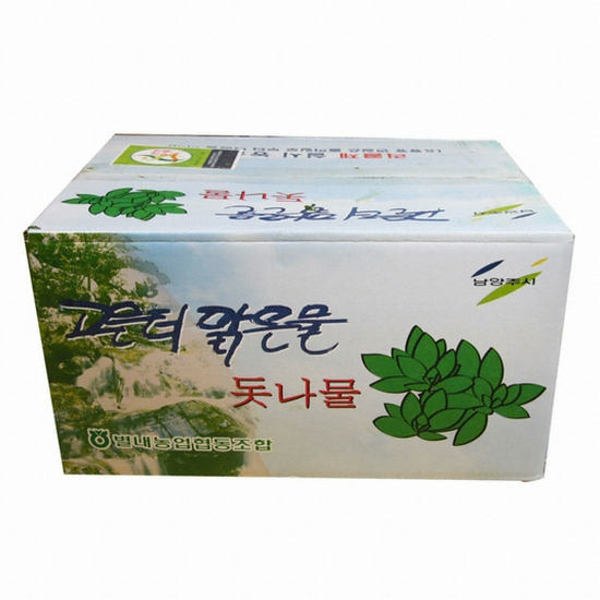 강산애닷컴 믿을수 있는 우리 농산물 돌나물 4Kg