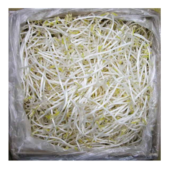 강산애닷컴  숙주나물 3.5Kg 4Kg내외