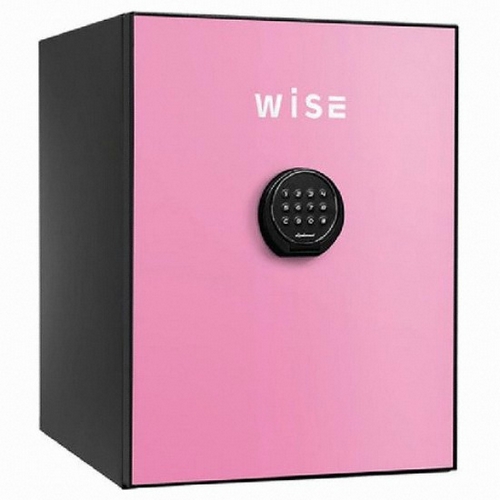 디프로매트 와이즈 WS500