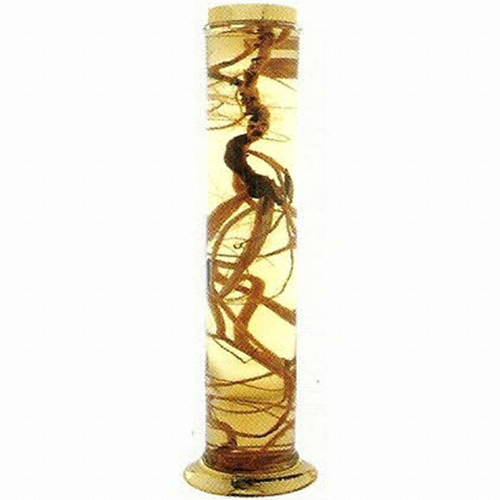 용천자연유리 담금주병 수동 73호