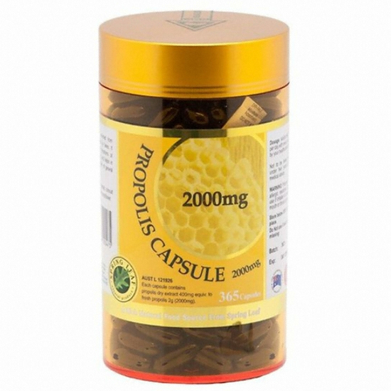 스프링리프 프로폴리스 2000mg 365캡슐