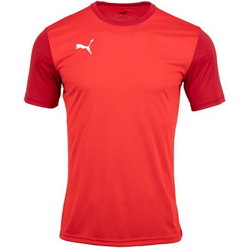 푸마  팀골 23 사이드라인 티 656484