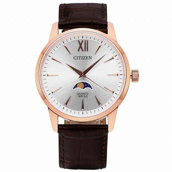 시티즌 남성 문페이즈_AK5003-05A