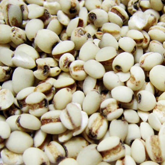 아침농산  2019 율무 2kg