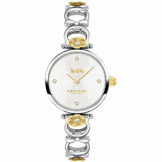 코치 여성_14503445