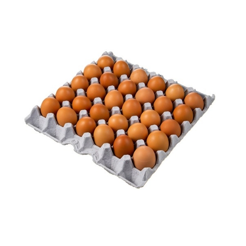 청계원  곰곰 무항생제 신선한 대란 30구