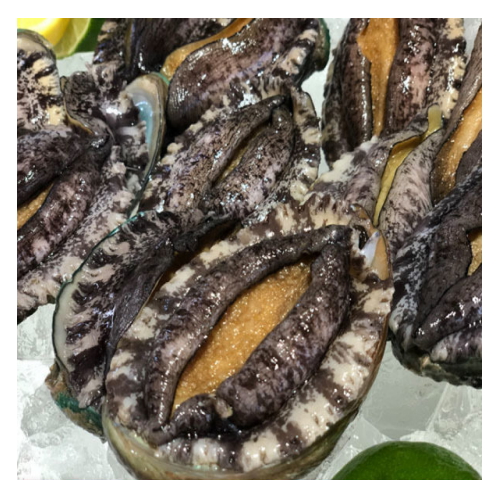 해신수산  국내산 완도 전복 특대 9~11미 1kg