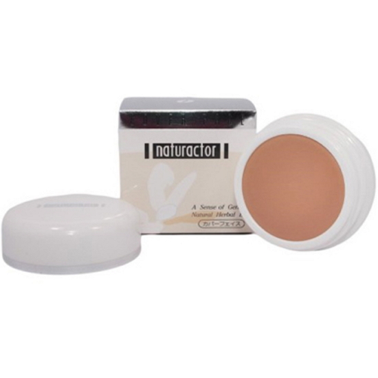 메이코 네츄렉터 페이스커버 컨실러 파운데이션 20g