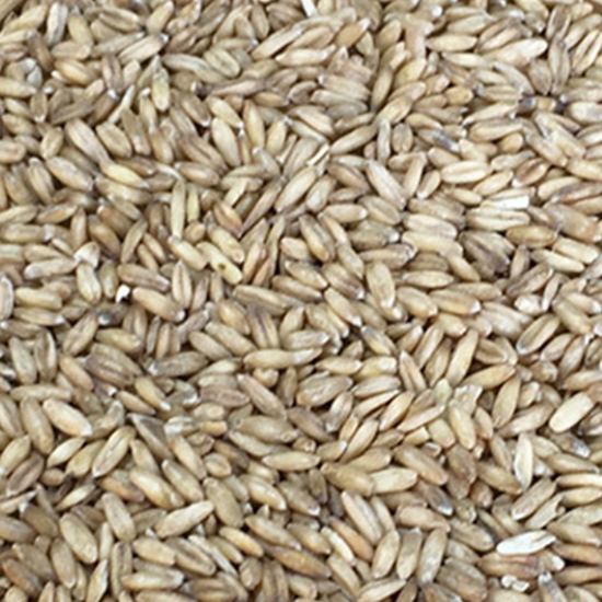 삼원농산  국내산 귀리 5kg