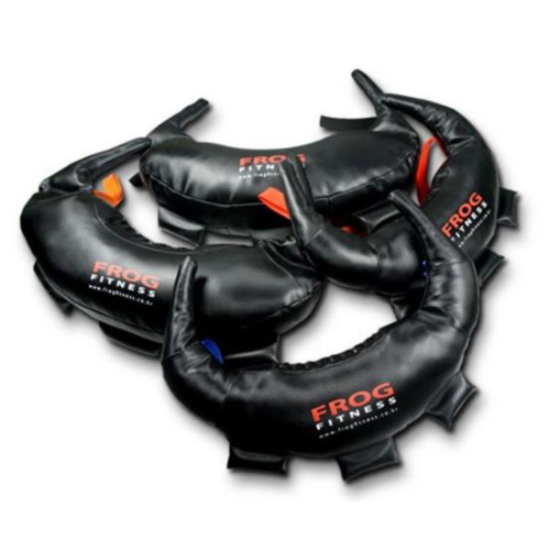 플러그피트니스  불가리안백