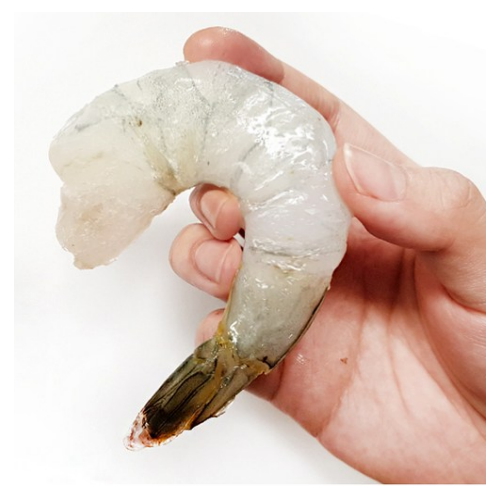 비비수산  칵테일새우 50~60미 1kg