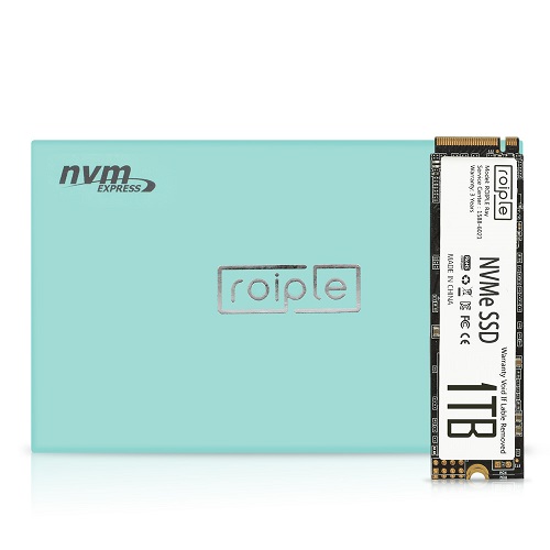 디오테라 ROIPLE Ray M.2 NVMe