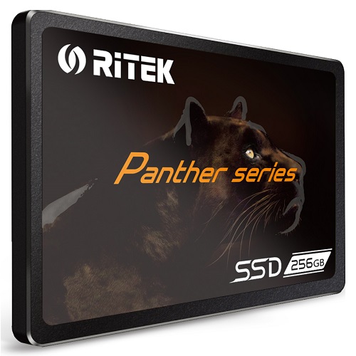 RiTEK  Panther Series [256GB]