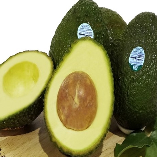 프리미엄 하스 아보카도 9과 1.8kg