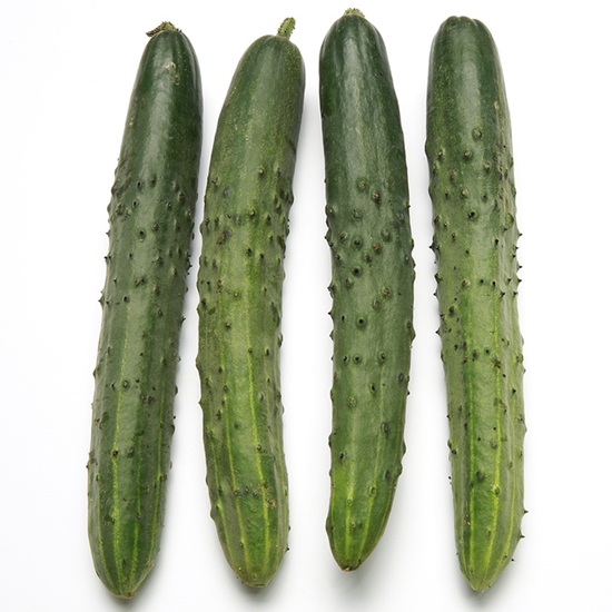 취청오이  청오이  10Kg  상