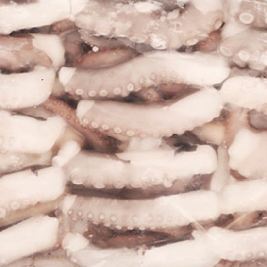 CJ프레시웨이  절단 낙지 500g