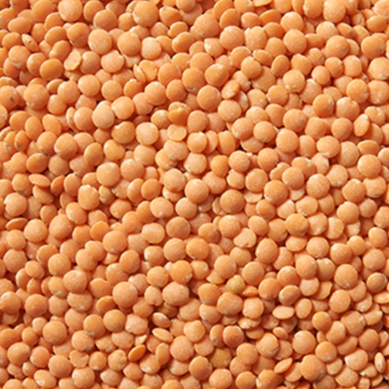 현대농산  레드 렌틸콩 2kg