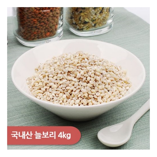대구농산 건강한밥상 늘보리 4kg