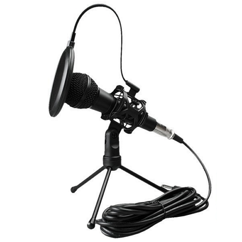 유트렌드  SM58