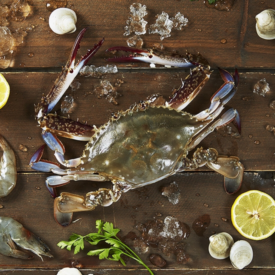 서촌꽃게  냉동 숫꽃게 5kg