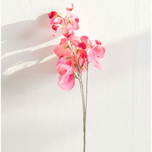 플라워트리 3대스위트피가지 75cm - 에누리 가격비교