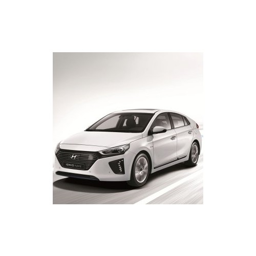 제주 아이오닉 렌터카